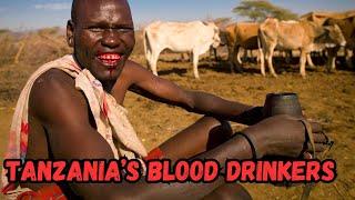 Tanzania's blood drinkers - inside a Maasai village