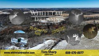 95 Acres Hunting Land for Sale with Potential Ridge Top Building Site in Southwest Wisconsin