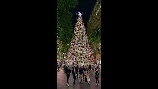 Christmas Tree In Town Hall, Sydney