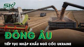 Các Nước Đông Âu Tiếp Tục Nhập Khẩu Ngũ Cốc Ukraine, Chờ EC Hỗ Trợ Người Nông Dân | SKĐS