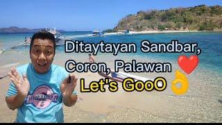 Ditaytayan Island Sandbar! #coronpalawan #palawanphilippines #ditaytayan #coronboatmanvlog