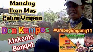 Mancing Ikan Mas  Pakai Umpan " Don kempos"  Makanin Banget. #grebegempang11