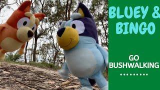 Bluey & Bingo GO BUSHWALKING!! Learning through Play! #disneyjnr #abckids #bluey