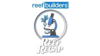 The Next Generation of Reefing | Reef Recap w/Salem Clemens