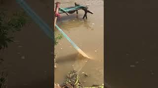 Real Life Fishing#fishing#fish#cast net#Trending#Viral#Ep59