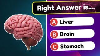 Human Body Organs Quiz  | Learn & Test Your Knowledge!