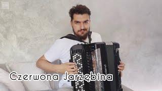 Czerwona Jarzębina on digital accordion