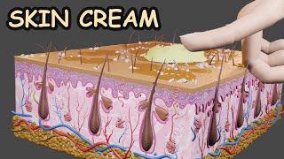 Skin Protective Cream || How it Works || 3D CGI Animation 2024