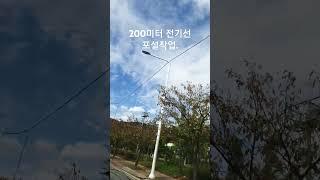 200미터 전기선 포설작업