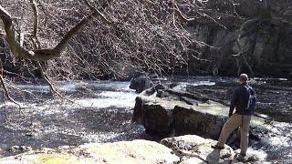 073: Rapids of Redmire (Redmire Force and Castle Bolton) (Yorkshire Dales 2017)