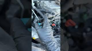 Always change your timing belt on time #cars #mechanic #hondacars #diy