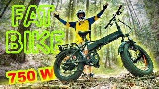 FAT e-BIKE the way I like it - 750W V-Max 45km/h - TOUROLL S1