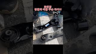 로워암 정품과 비품의 차이점을 알아봅시다