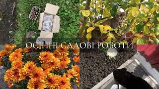 Осінні садові роботи | готую сад до зими, посадка нових квітів