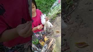 OUTDOOR ACTIVITY #baby #shortvideo #nature #cute #shortfeed #fyp #shorts #short #creative #outdoors