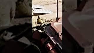 Meet the worlds military. #shorts #funny #fails #military #army