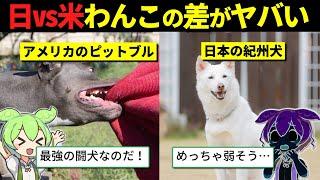 4歳児を殺した「世界最強の闘犬」ピットブルが老夫婦に近づいたとき…紀州犬がとった驚きの行動とは？【ずんだもん＆ゆっくり解説】