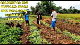 MAY DALANG REGALO SA ATIN SI KA INSAN AT KAALAMAN SA BUKID