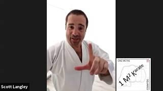 Scott Langley's Online Seminar - Kumite in Kihon Combos