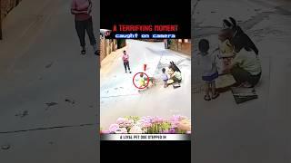 Dog Attacked  !   A terrifying moment was caught on camera #facts #Viral Video#animals video