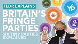 Britain's Weird, Small Political Parties Explained - TLDR News