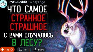 Что Самое Странное/Страшное Вы Видели в ЛЕСУ? #6