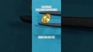 certified yellow sapphire ||  पुखराज || #viral #youtubeshorts #shortsviral