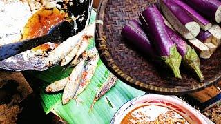 Cooking in the garden. Basket fish, coconut milk eggplant with anchovies and small prawns