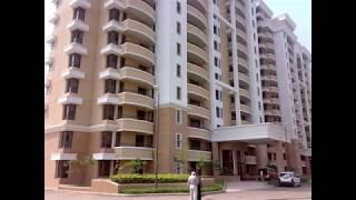 3 BHK Apartments On Dwarka Expressway # +91 9212306116