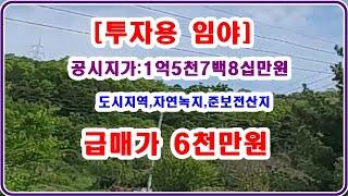 [투자용임야]  공시지가 1억5천7백8십만원 인 임야가 몽땅 6천만원 도시지역,자연녹지,준보전산지, 11.880평