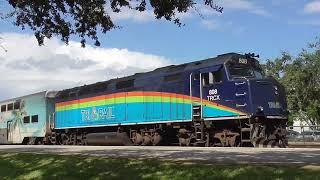 SOFLO TRAINS GALORE! 20 TRAINS All The Way From Boynton Beach To Aventura 8-17-24