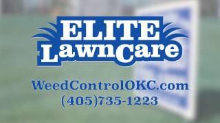 Elite Lawn Care Ad