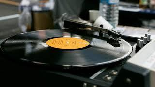 Jungle 21 - Ivan  Leite    #techno #newtechno