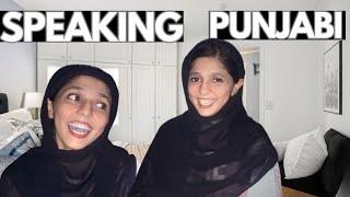 Speaking Punjabi for whole Vlog||Most Funny Vlog||Rohay Fatima Vlogs