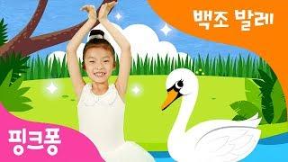 백조 발레 | 핑크퐁 체조 | 핑크퐁! 인기동요