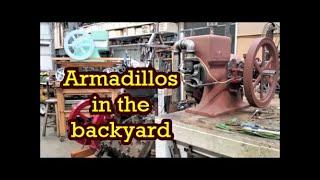 Armadillo in the backyard HIT & MISS ENGINE