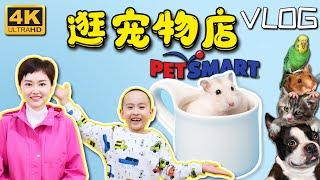 4K VLOG²º²¹  带孩子逛宠物店 Petsmart 买宠物【尔湾生活】