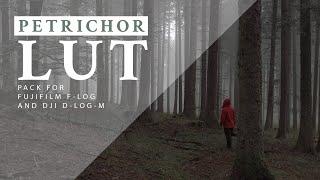 Petrichor LUT pack by The Windy Burrow | Moody and dark atmosphere LUTs