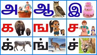 தமிழ் உயிர் எழுத்துக்கள் || உயிர்மெய் எழுத்துக்கள்|| க ங ச ஞ ட ண த ந ப ம ய ர ல வ|| மெய் எழுத்துக்கள்