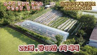 (40620) 성주군 월항면 용각리 주말농장 매매 / 성주땅 , 토지 매매 ( 262평 ) - [ 성주부동산 ]