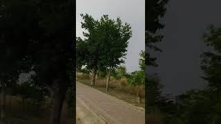 Road Journey ️ #islamabad #pakistan #beauty #naturelovers #road