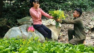 Harvest vegetables and sell them at the market.Love blossoms with a good guy.