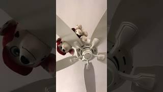 Start world noisy ceiling fan #pawpatrol #funny #disturbing #viral #amazing #louder #roblox #short