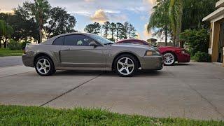 Video fixed..... Walk around of my new Bone stock 2003 Cobra.....