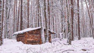 11 days building a dugout shelter, bush cabin, solo overnight, Autumn - Winter