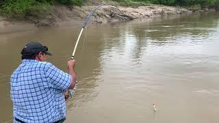 160 lb alligator gar on a Garzilla Rod!