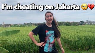 I'm cheating on JAKARTA | My cheap guesthouse in Bali