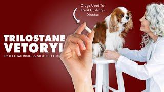 Trilostane - VetorylDrugs for Cushings Disease️Potential Risks & Side Effects