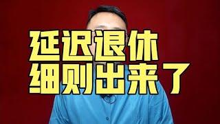 延迟退休，细则终于出来了【强老师儿】