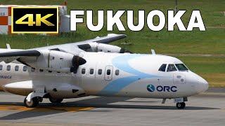 [4K] Plane spotting at Fukuoka Airport on August 17, 2024 / 福岡空港 / Fairport